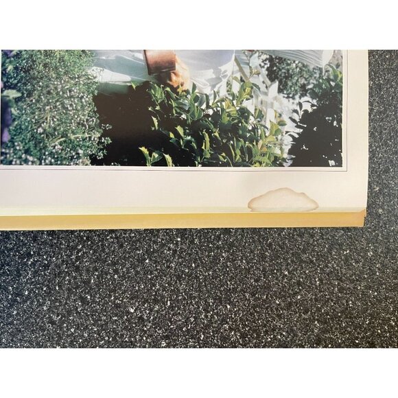 The White House Family Cookbook Haller and Aronson Hardback - Picture 6 of 13